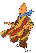 Tintin in Inca