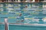 2009hkw_swimming_gala_008