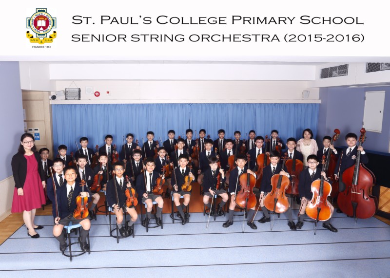 Senior String Orchestra_IMG_-with heading.jpg