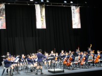 Senior Strings (7).JPG